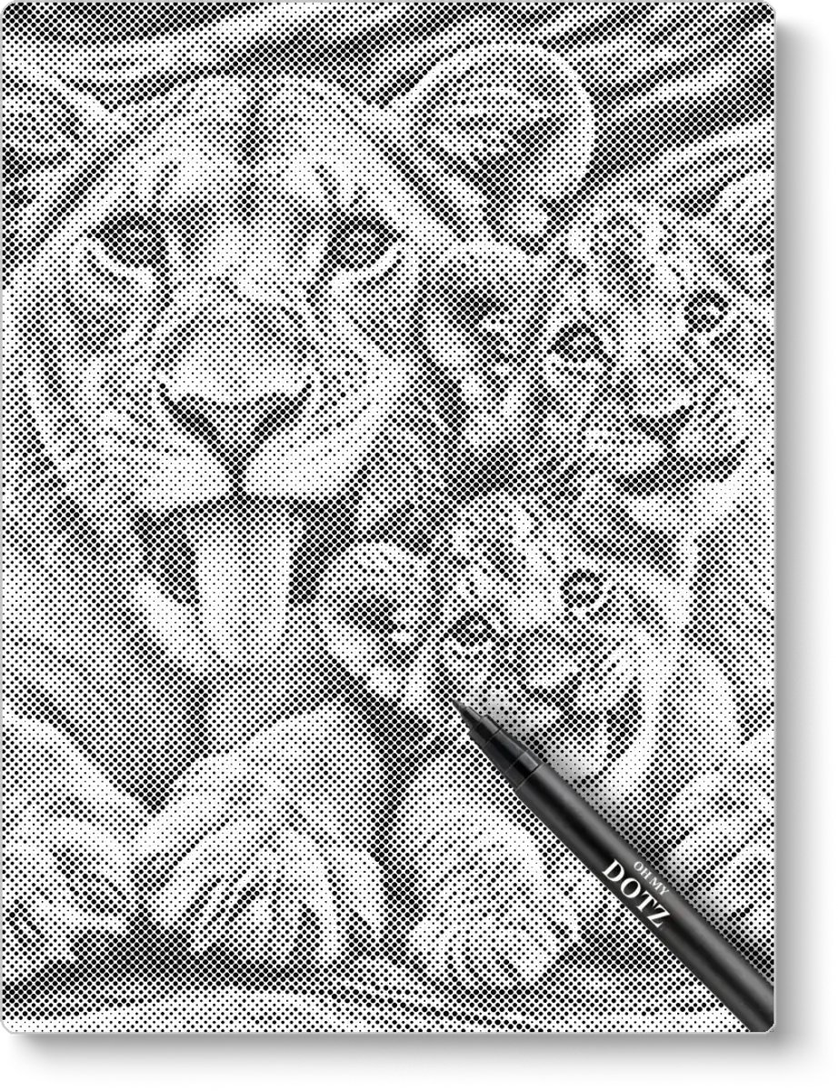 Leeuwen Familie | Stippelschilderij | 50x60cm  Meest gekozen | Dot painting | Oh My Dotz | One color dots | Diamond painting & Schilderen op nummer alternatief | Cadeau